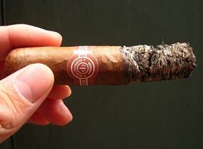 Harm of smoking cigars for health